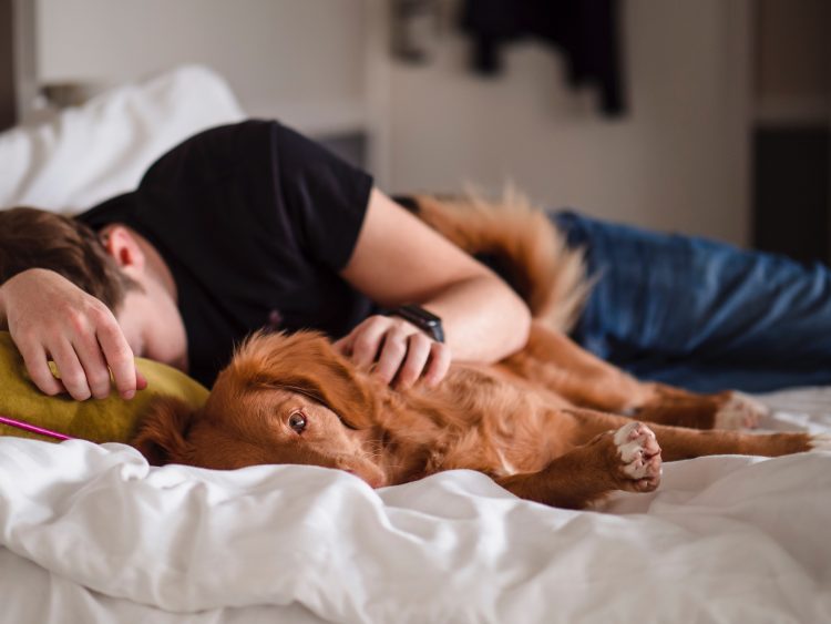 mies makaa sängyssä ja rapsuttaa koiraa.